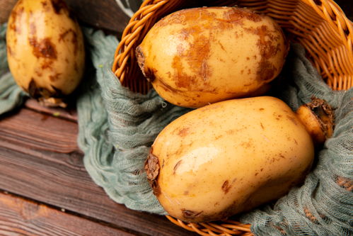 蓮藕 玉藕玲瓏，節(jié)日佳肴與苗木之美