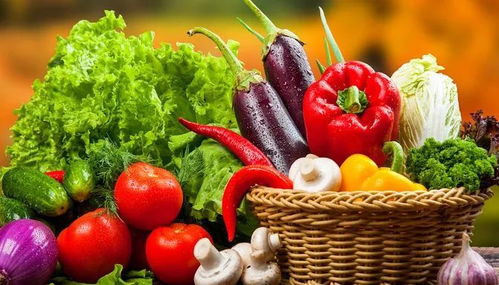 垃圾分類新潮流 苗木廢棄物如何處理？生活垃圾分類實(shí)用小妙招