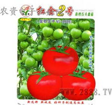 生機(jī)勃勃的后院 瓜果蔬菜種子與苗木選購指南