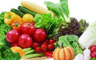 山西科普惠農(nóng)特色優(yōu)質(zhì)農(nóng)產(chǎn)品展銷會盛大開幕，花卉產(chǎn)業(yè)綻放異彩